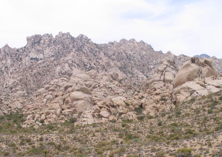 Desert Landscape